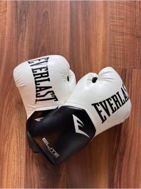 Everlast Two-Tone White and Black Training Boxing Gloves